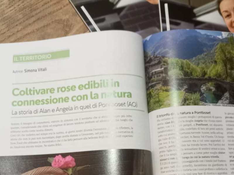 La nostra intervista su&nbsp;Sala&Cucina